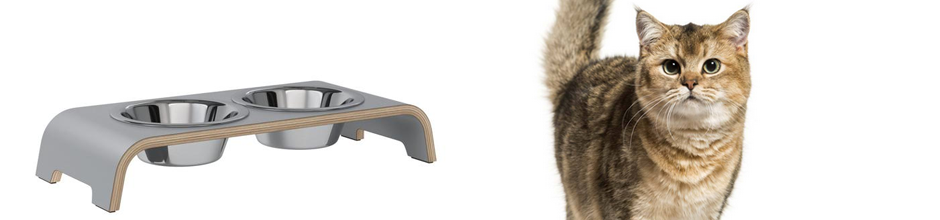 catbar