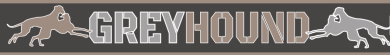 SALTYDOG ® GREYHOUND | HU 30-43 cm 