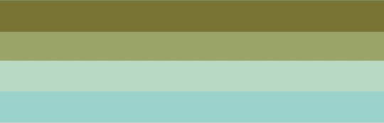 SALTYDOG ® Stripes | SUNSET | Olive-Türkis 