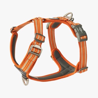 Brustgeschirr | V3 Walk Air | ORANGE 