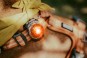 morepic-5