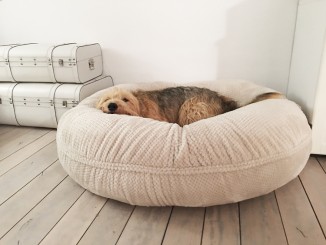 COSYBED Air  |  COSYTOUCH  Beige 