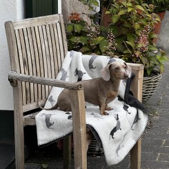 Hundedecke | Dackel 